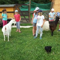 Příměstský tábor 16.-20.7.2018