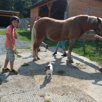 Příměstský tábor 23.-27.7.2018