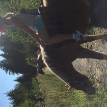 1564485769192_20_179CBC3A-BB2C-4EB1-BAA6-E2B5A1716975.jpeg